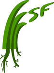 Logo del Forum